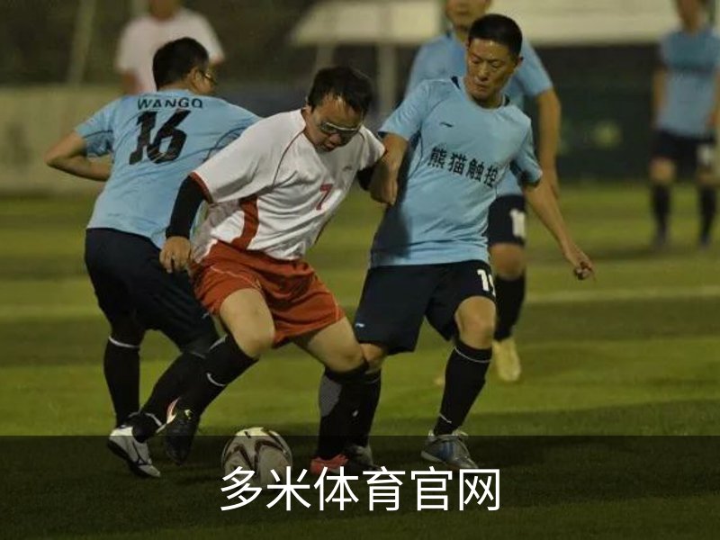 关于多米体育官网